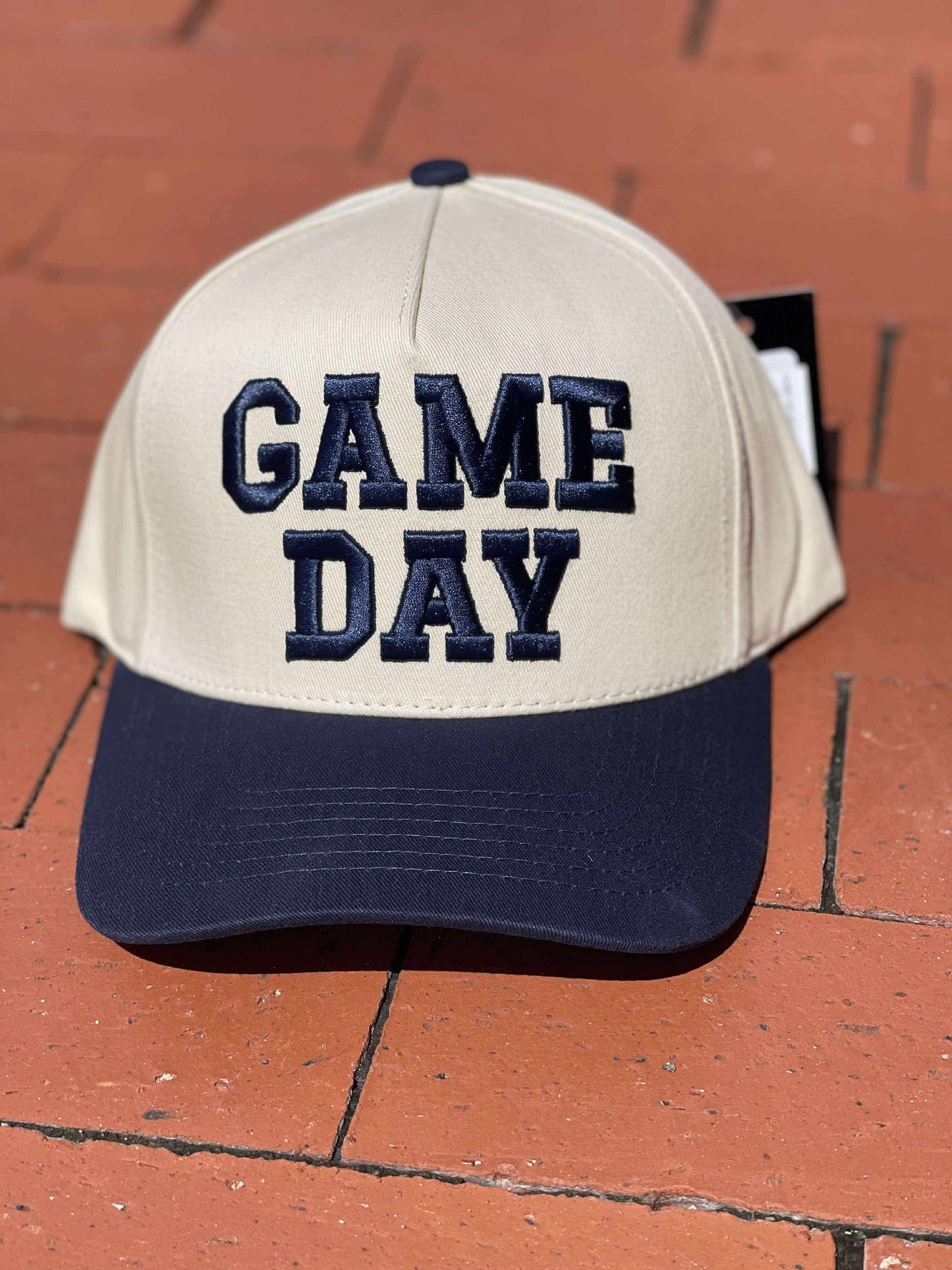 Embroidered Hats (Multiple Choices)
